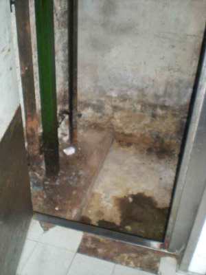 germanica-27-08-12-01