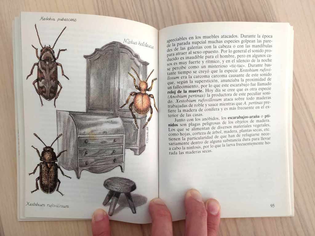 ‘Los insectos y el hombre’ de Carmelo Guerrero y Francisco Rueda (1988 ...