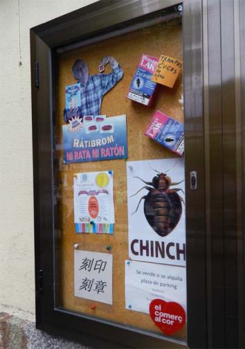 Foto 4. Uno de los escaparates de la droguería./ Desinsectador 23-06-2013