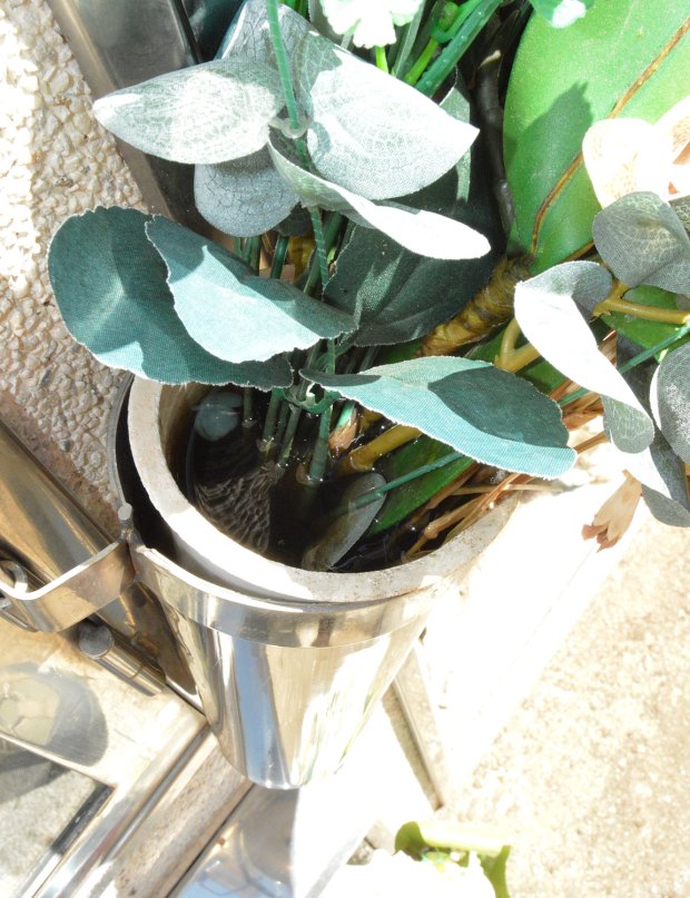 cementerio-vallromanes-05