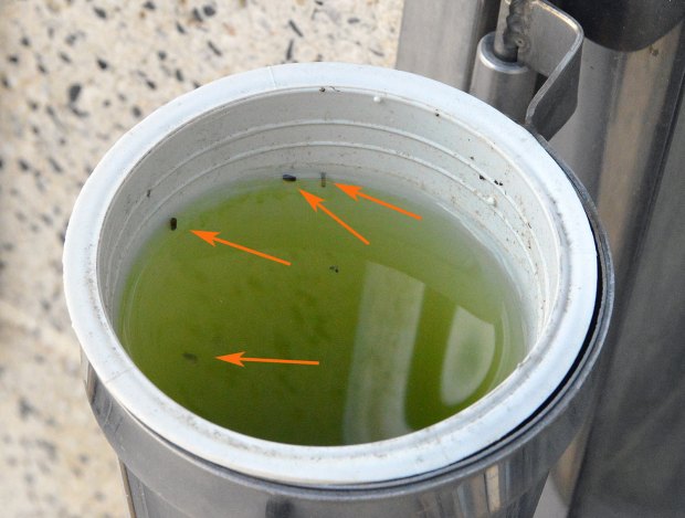 cementerio-vallromanes-07