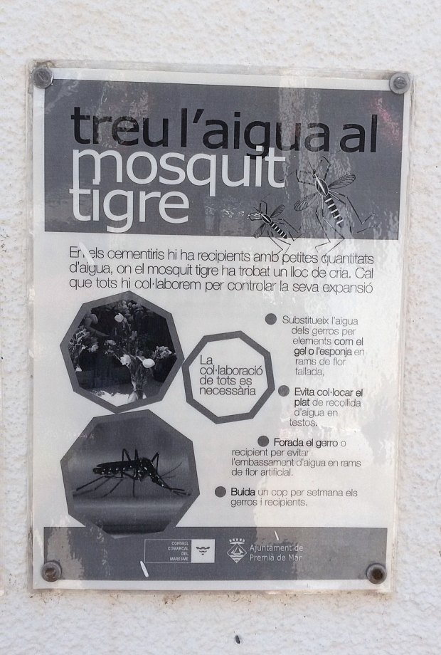 mosquit-tigre-cartell-2015-premia-de-mar