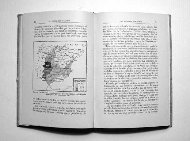 parasitos-emilio-fernandez-galiano-1943-pp70-71