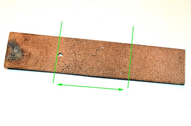 mosquito-tablilla-santa-coloma-diba-agosto-2016-huevos-aedes-albopictus-01