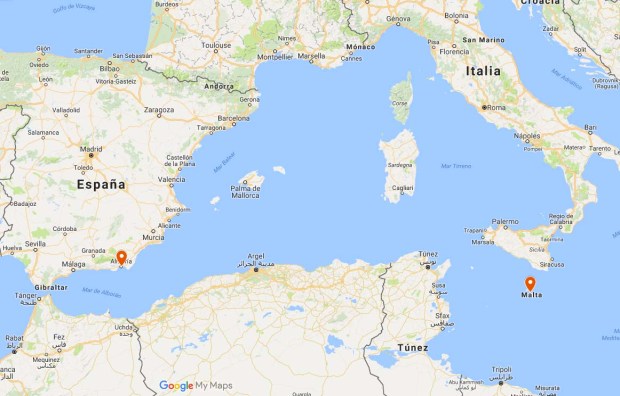 mapa-pheidole-indica-bugibba-almeria